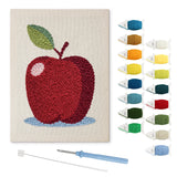 Apple on Blue punch needle kit: finished canvas with threads, punch needle and threader