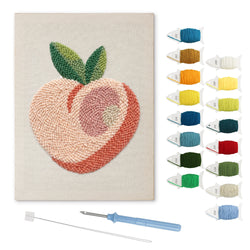 Blush Peach punch needle kit: finished canvas with threads, punch needle and threader