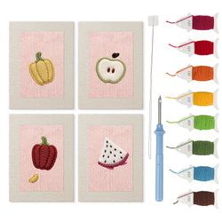 Pink Dragon Fruit mini punch needle kit set: four finished canvases with threads, punch needle and threader