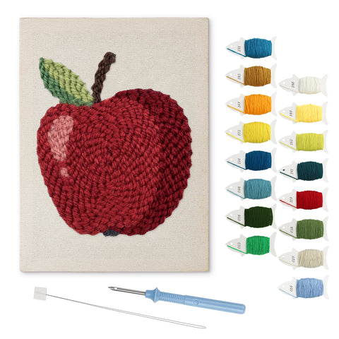 Shiny Red Apple punch needle kit: finished canvas with threads, punch needle and threader